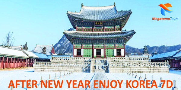 Paket Tour AFTER NEW YEAR ENJOY KOREA 7D